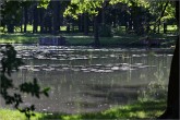 Laxenburg  21.08.10_014